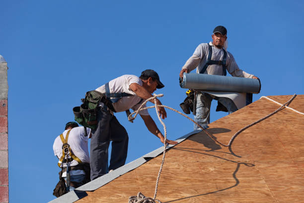 Quick and Trustworthy Emergency Roof Repair Services in Lansdowne, MD